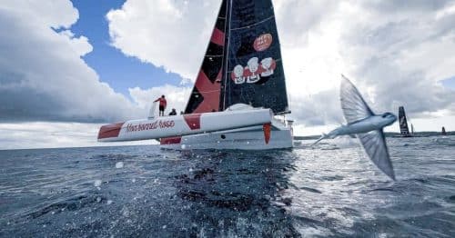 Laurent Bourgues partenaire technique COUSIN Transat Cafe l'Or