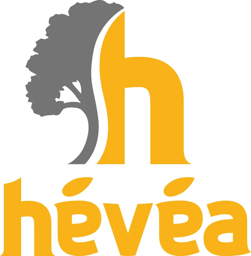 Hévéa